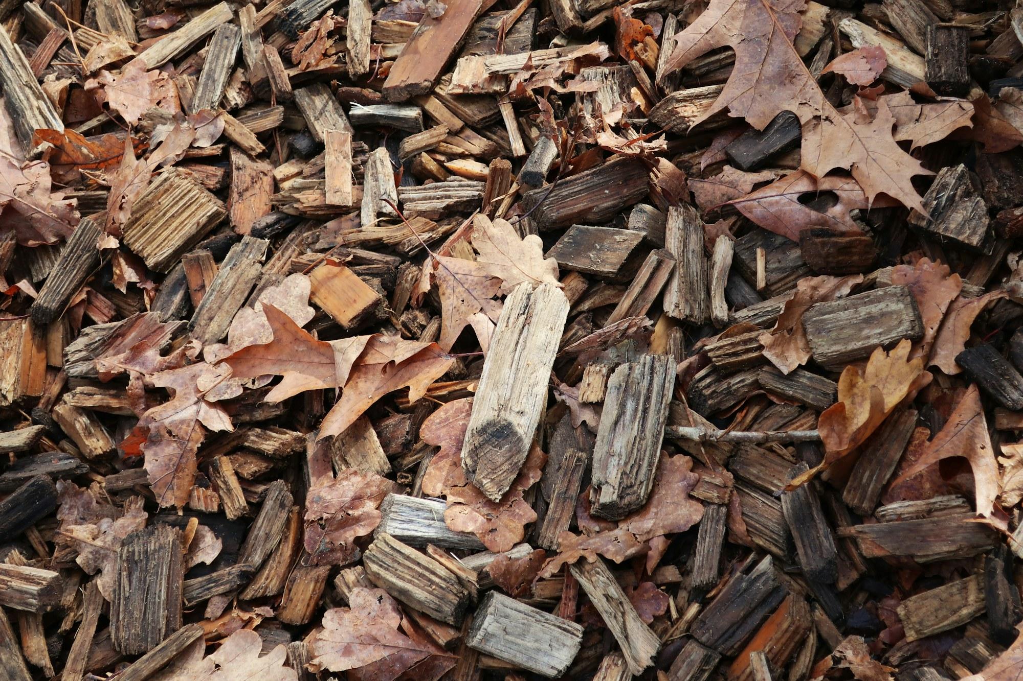 Copeaux de bois et feuilles après broyage